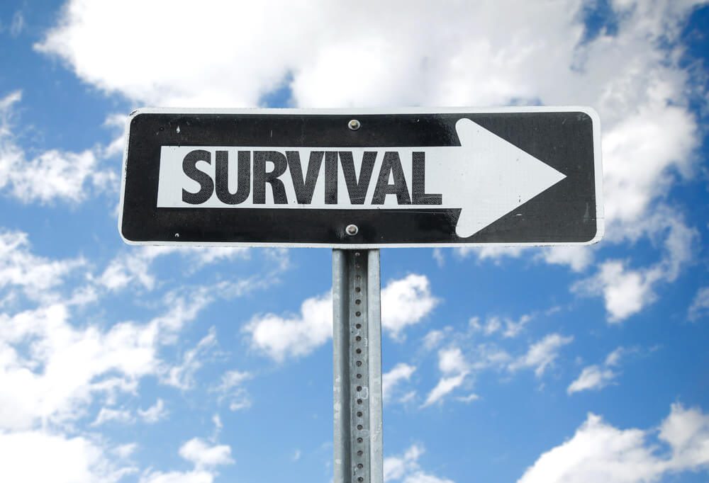 Survival direction sign with sky background