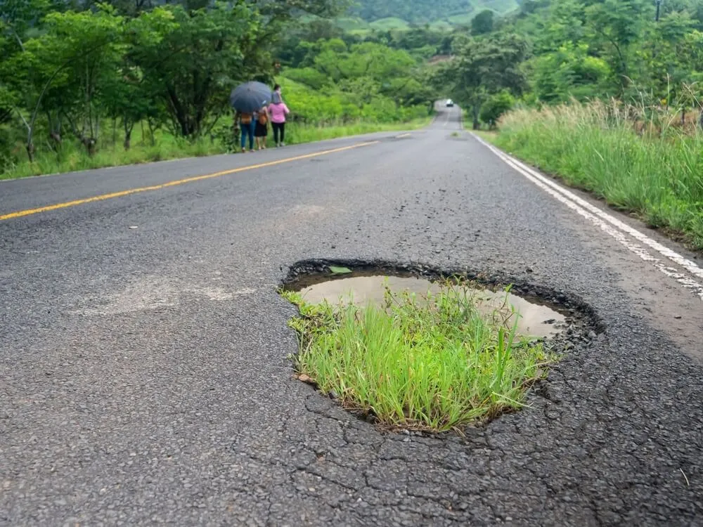 Green grass growing out of a road dent filled with muddy rainwater.